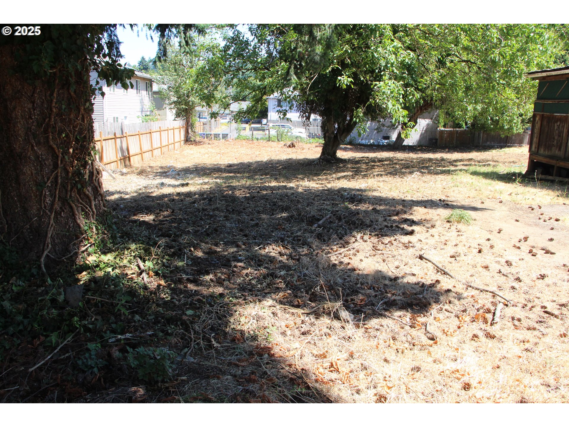 Southeast 87th Avenue Portland, OR 97266 - Photo 10 of 17 a view of a yard with a tree