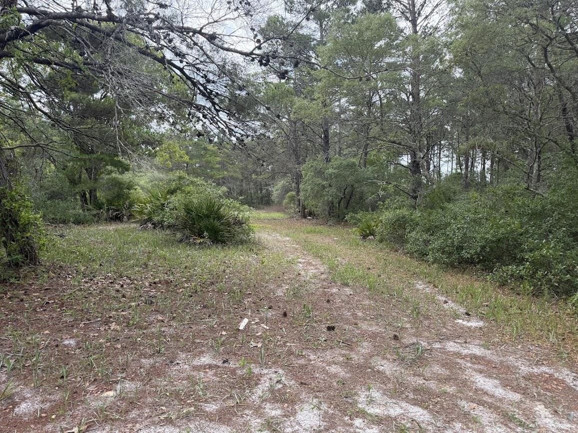 2094 Lighthouse Road Carrabelle, FL 32322 - Photo 50 of 58