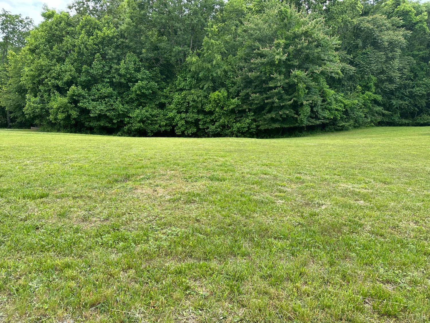 0 Cedar Gate Road Monroe, VA 24574 - Photo 2 of 4 Gallery Image 2