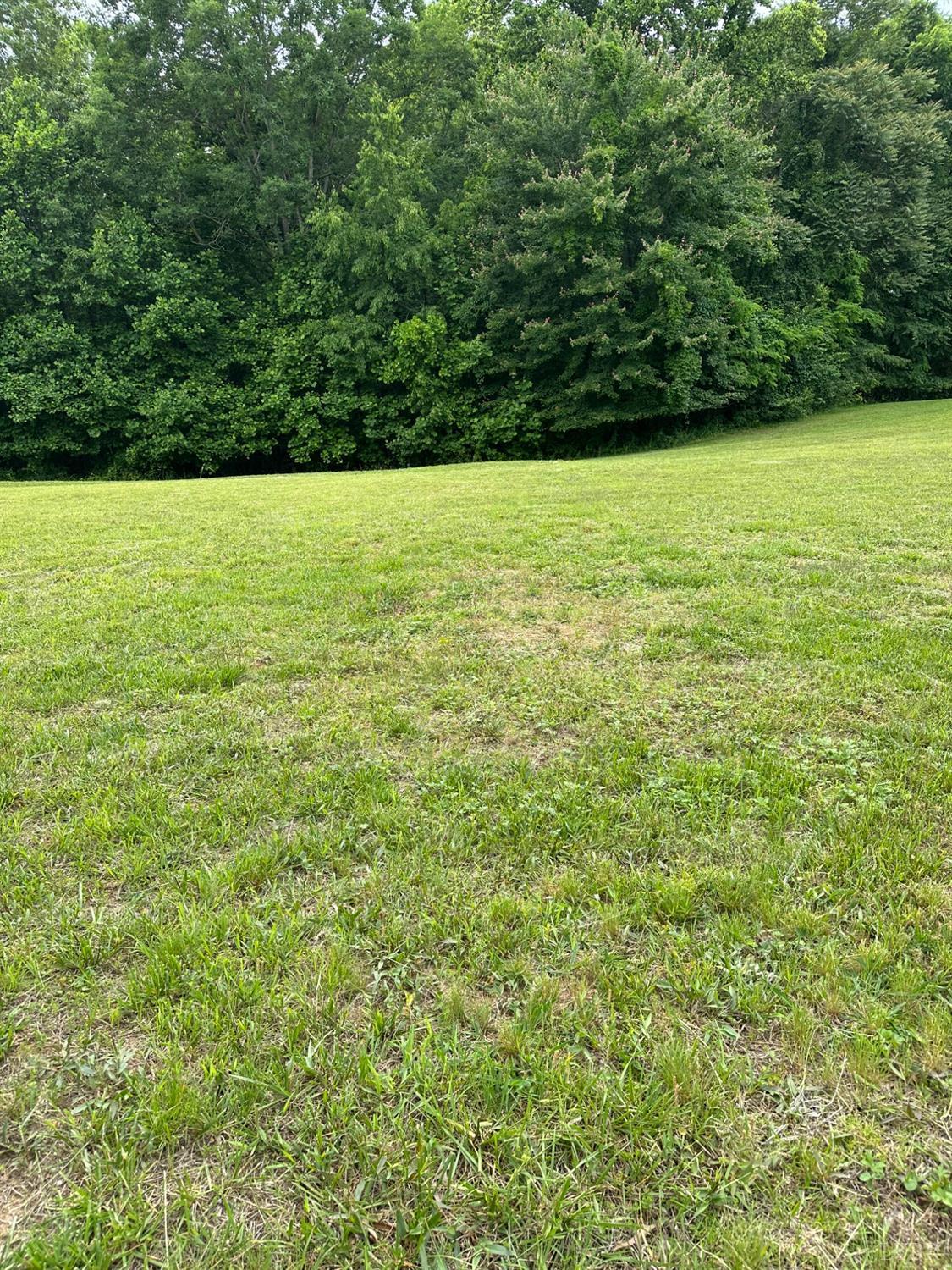 0 Cedar Gate Road Monroe, VA 24574 - Photo 3 of 4 Gallery Image 3