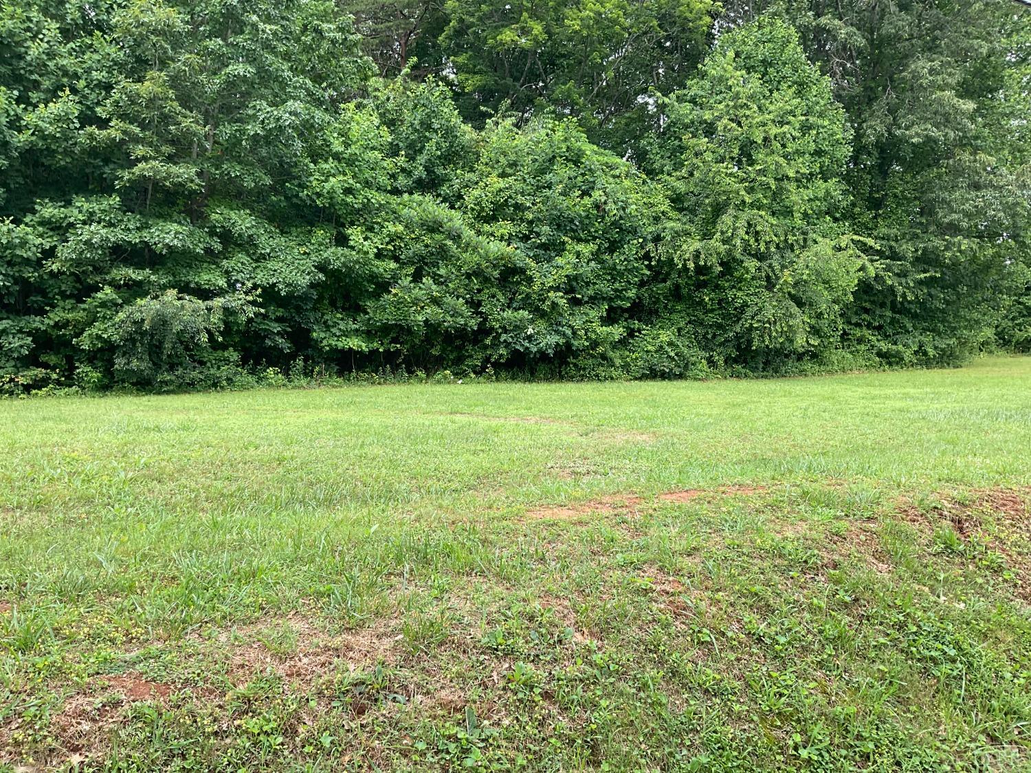 0 Cedar Gate Road Monroe, VA 24574 - Photo 4 of 4 Gallery Image 4