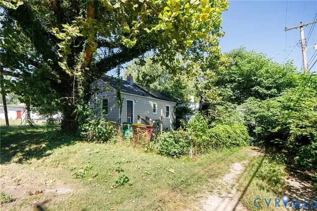 a view of backyard with potted plants and large trees