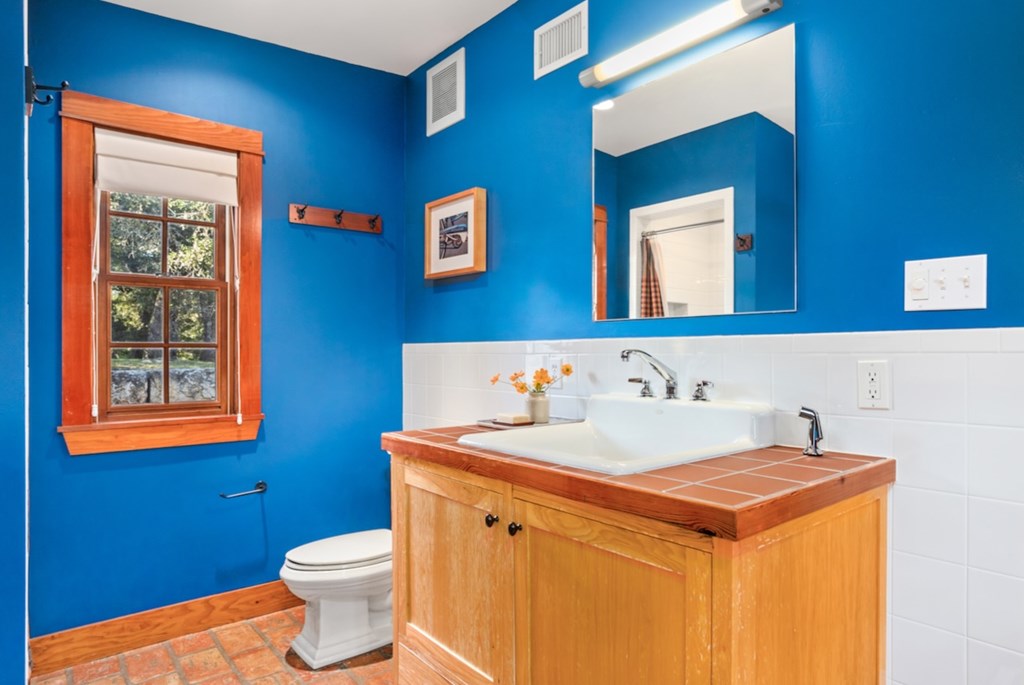 309 Ridgeview Drive Fredericksburg, TX 78624 - Photo 24 of 32 a bathroom with a sink a toilet and a mirror
