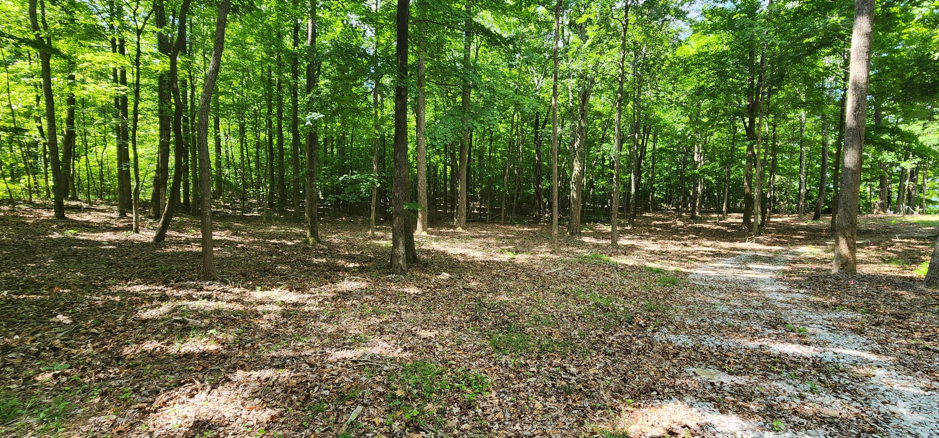 0 Roth Point Road, Unit 5 Altamont, TN 37301 - Photo 41 of 53 1000051987