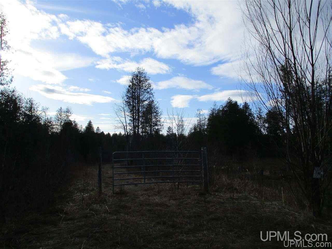 Tbd Calumet Mine Road Felch, MI 49831 - Photo 2 of 3