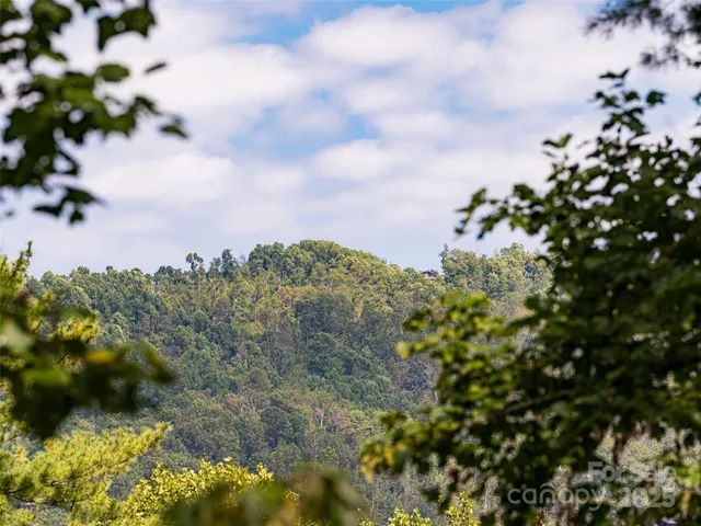 $765,000 | 1302 Timber Trail, Asheville, NC 28804