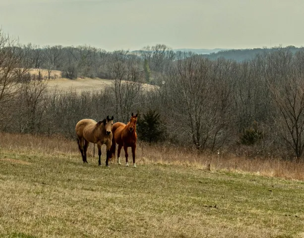 $799,000 | 5995 Section Line Road, Dodgeville, WI 53533