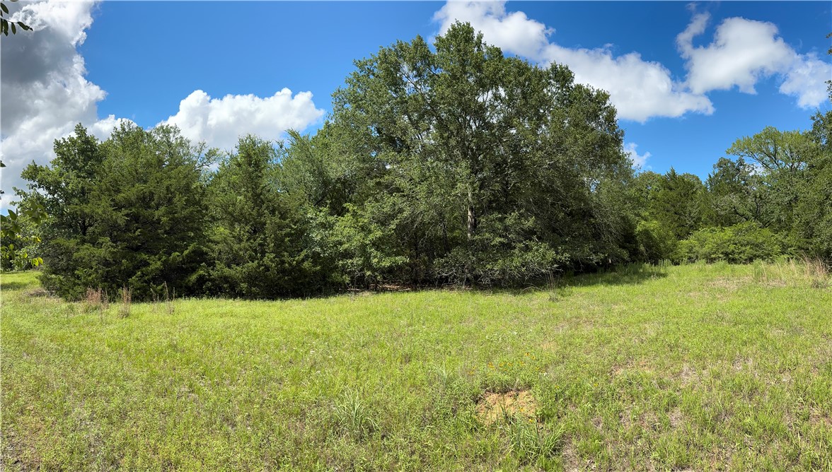 Tbd Pin Oak Road Franklin, TX 77856 - Photo 4 of 11 7.5 Ac Meadow Pic