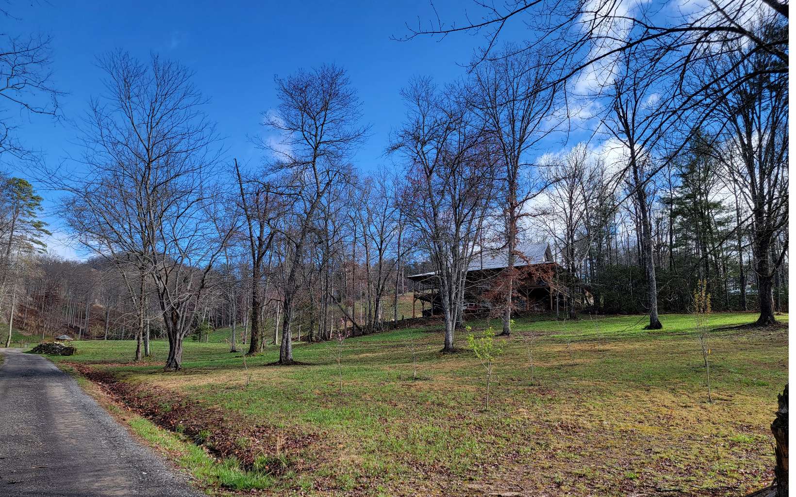 143 Smart Road Hayesville, NC 28904 - Photo 4 of 4 a view of a park with large trees