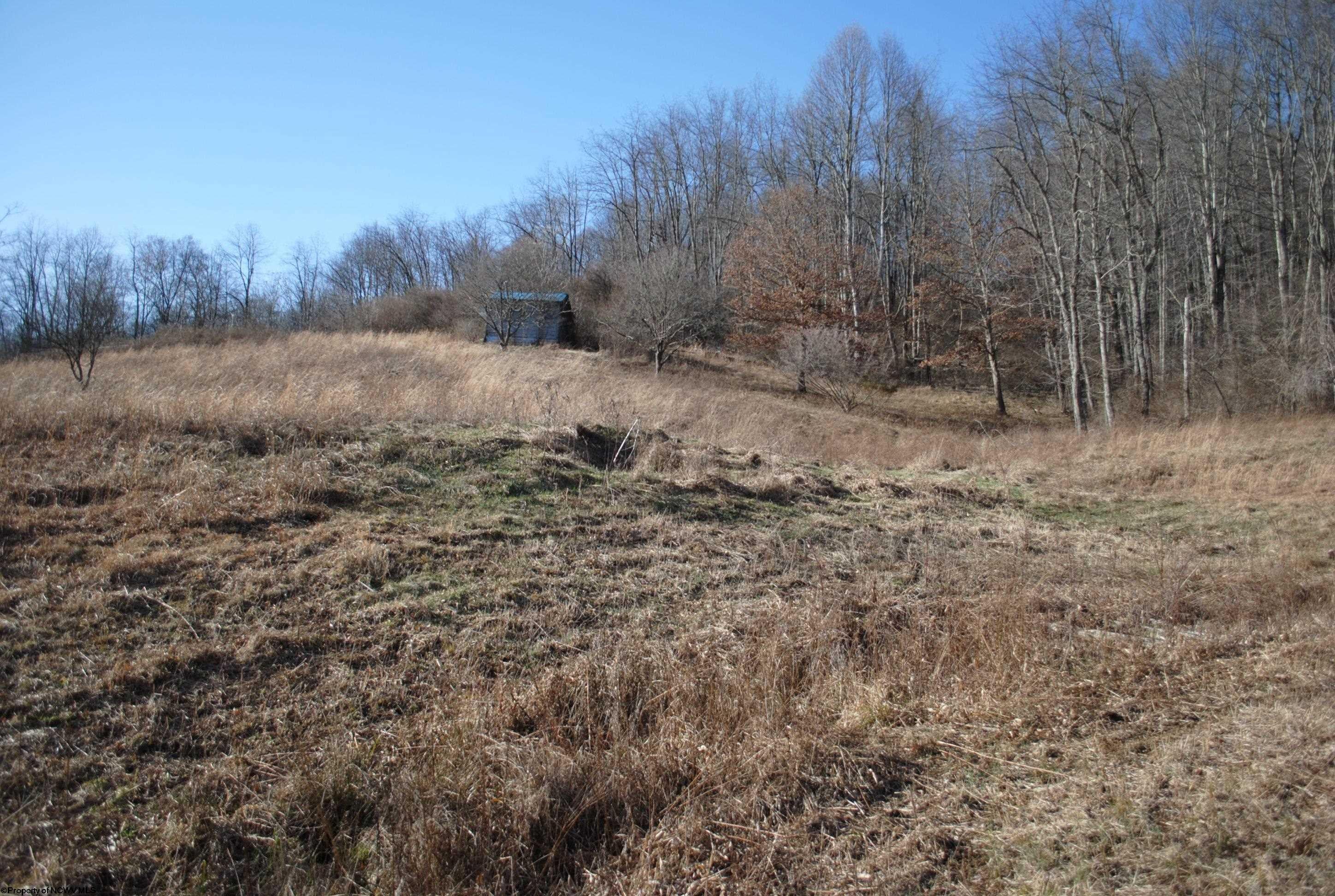 2201 Wash Run Road Philippi, WV 26416 - Photo 12 of 22 Gallery Image 12