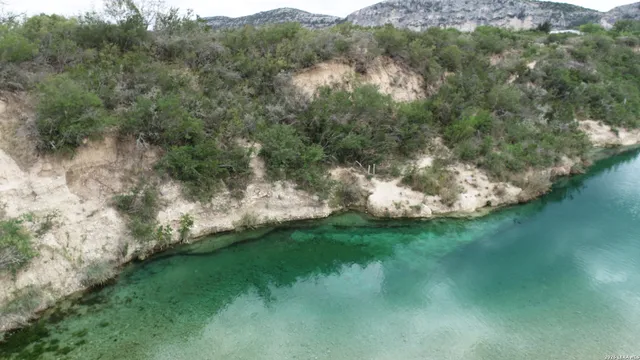 a view of a green field with plants