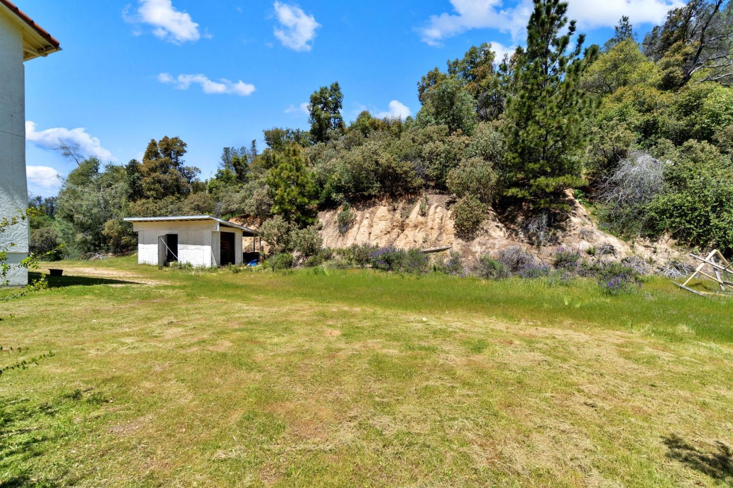 2832 East Westfall Road Mariposa, CA 95338 - Photo 32 of 38 a house view with swimming pool in front of it