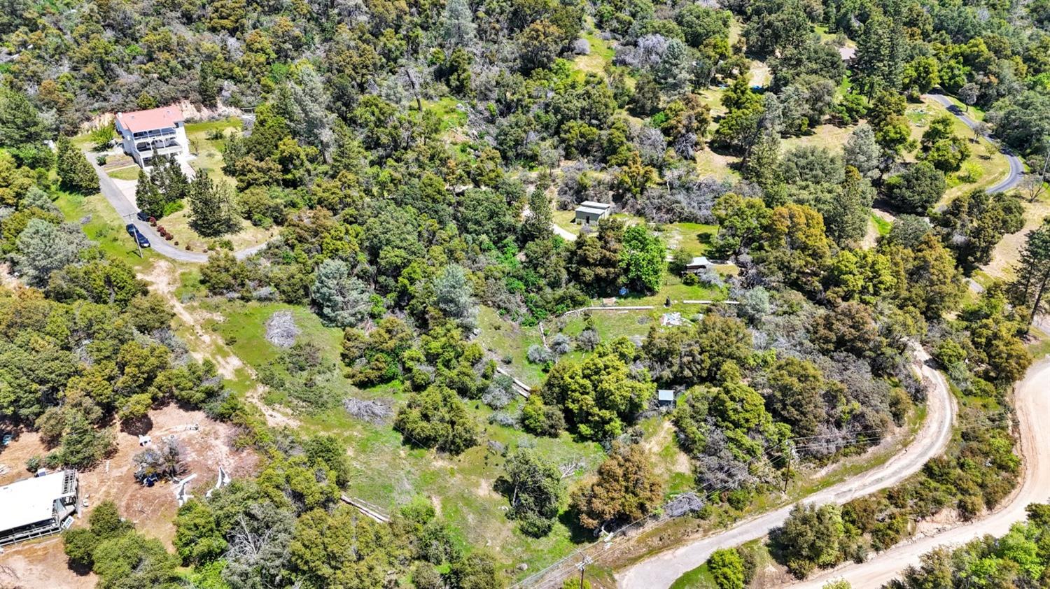 2832 East Westfall Road Mariposa, CA 95338 - Photo 34 of 38 a view of a forest with a tree