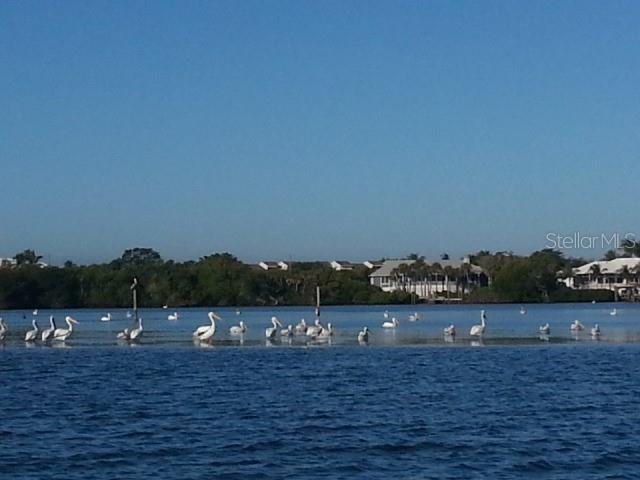 7 Laurel Court Placida, FL 33946 - Photo 6 of 10 a view of outdoor space and lake view