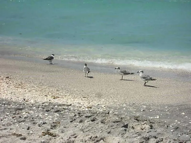 $19,500 | 7 Laurel Court, Placida, FL 33946