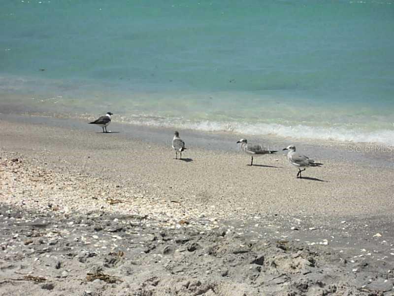 7 Laurel Court Placida, FL 33946 - Photo 8 of 10 a view of a refrigerator in a bathroom