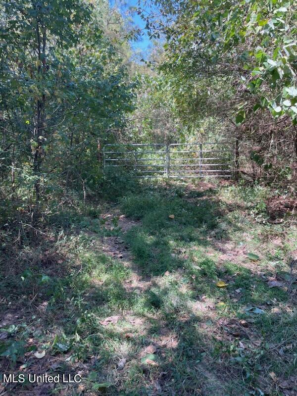 0 Wyatt- Tyro Road Senatobia, MS 38668 - Photo 1 of 3 Pearl Smith Road
