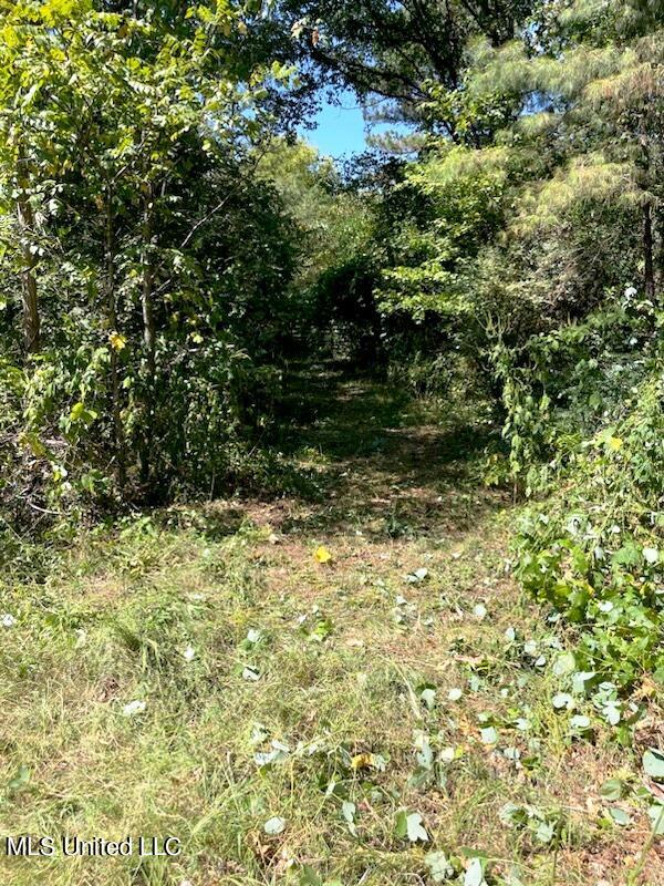0 Wyatt- Tyro Road Senatobia, MS 38668 - Photo 3 of 3 Pearl Smith Road 3