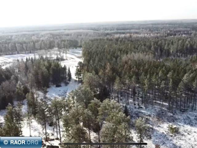 12109 E Road Side Lake, MN 55781 - Photo 4 of 14
