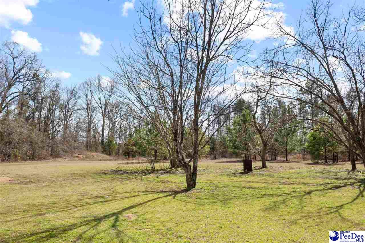 570 Keene Road Marion, SC 29571 - Photo 29 of 30 Gallery Image 29