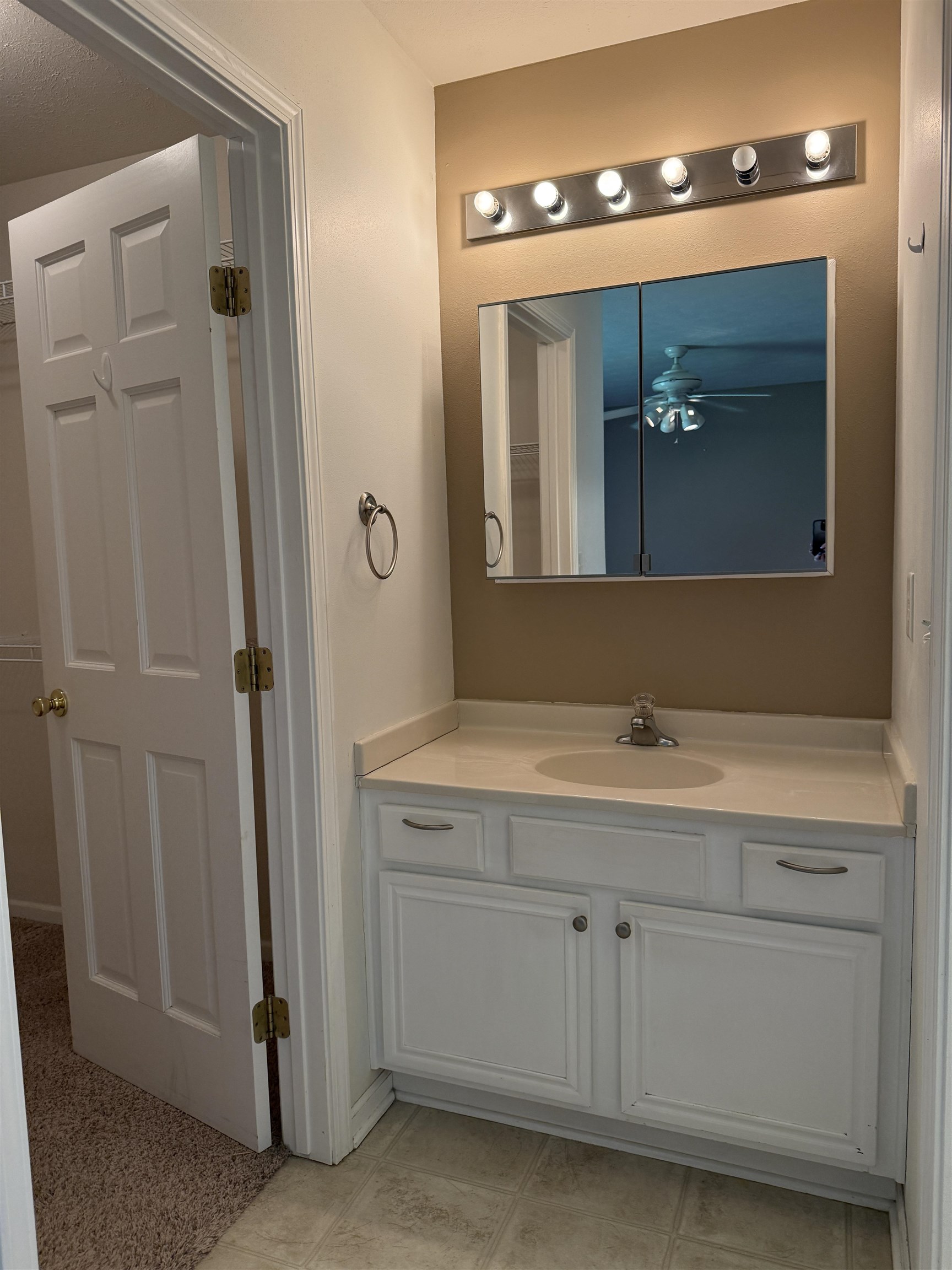 620 Cranbrook Lane Mount Morris, IL 61054 - Photo 17 of 38 Gallery Image 17