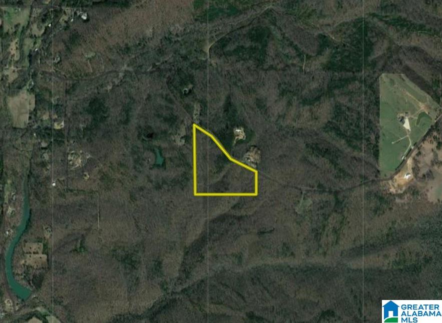 1 Goodner Mountain Road, Unit 1 Pinson, AL 35126 - Photo 17 of 19