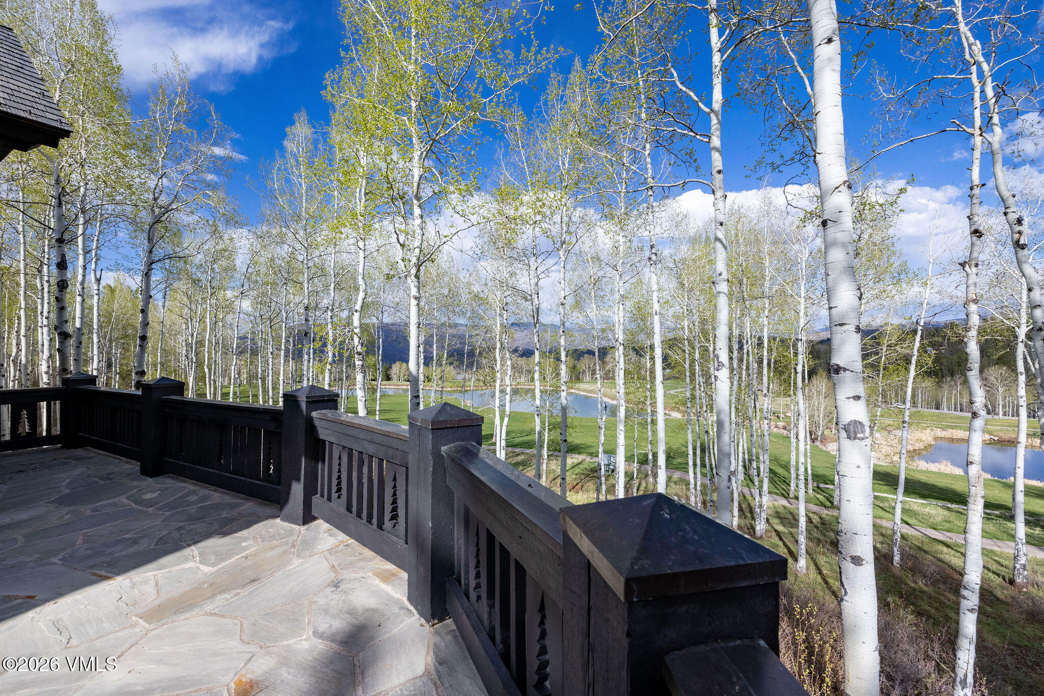 209 Forest Trail Edwards, CO 81632 - Photo 18 of 59 2604_209_forest_tr_exterior_deck_a