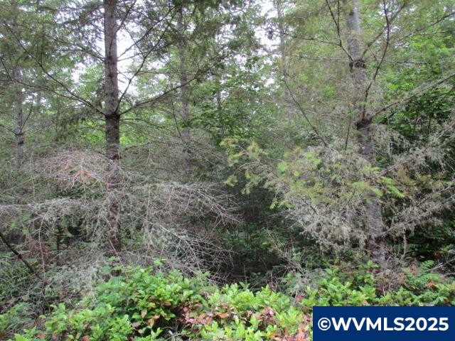 0 Gruber South Road Estacada, OR 97023 - Photo 15 of 30