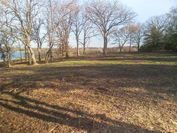a view of outdoor space with trees