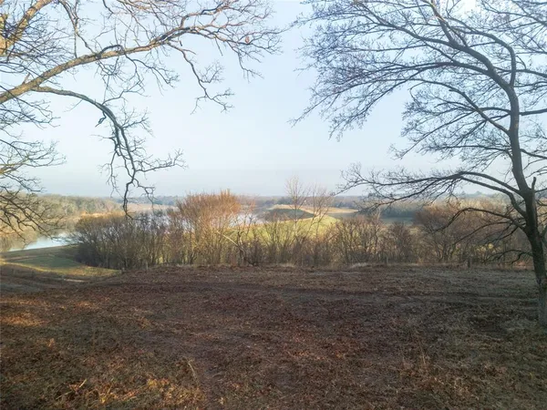 a view of dirt field with large trees