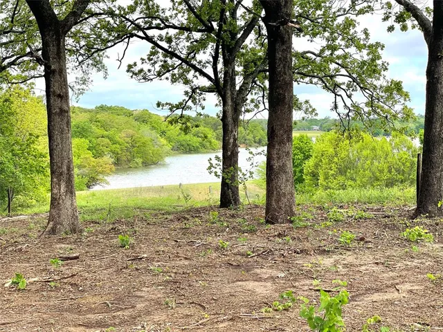 a view of a yard with plants tree