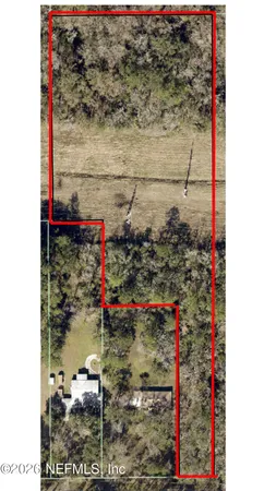 a view of a forest that has a tree