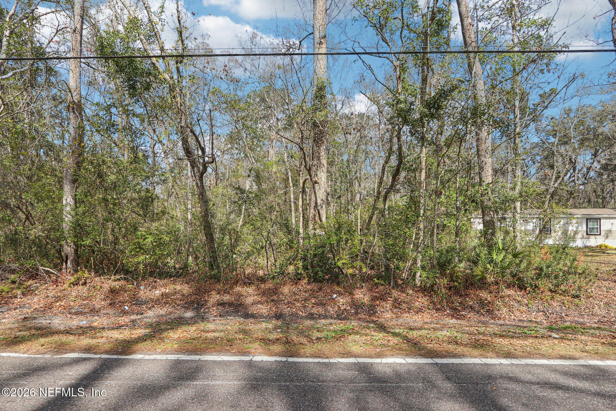 0 North Armsdale Road Jacksonville, FL 32218 - Photo 3 of 9