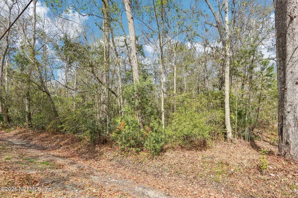 a backyard of a house with lots of green space and trees