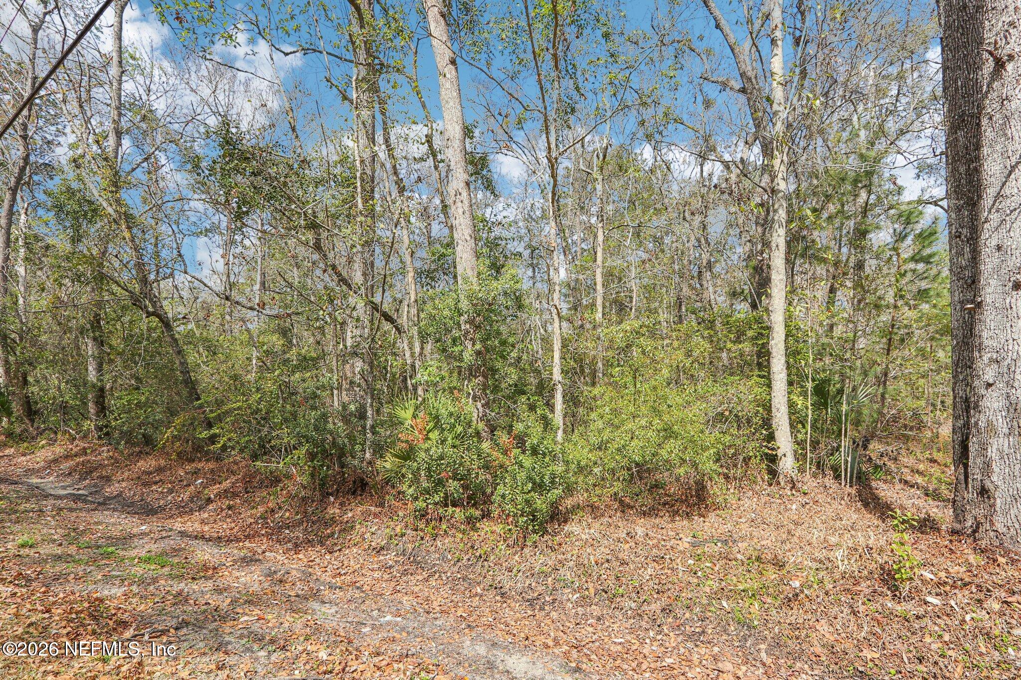 0 North Armsdale Road Jacksonville, FL 32218 - Photo 4 of 9 a view of a forest that has a tree