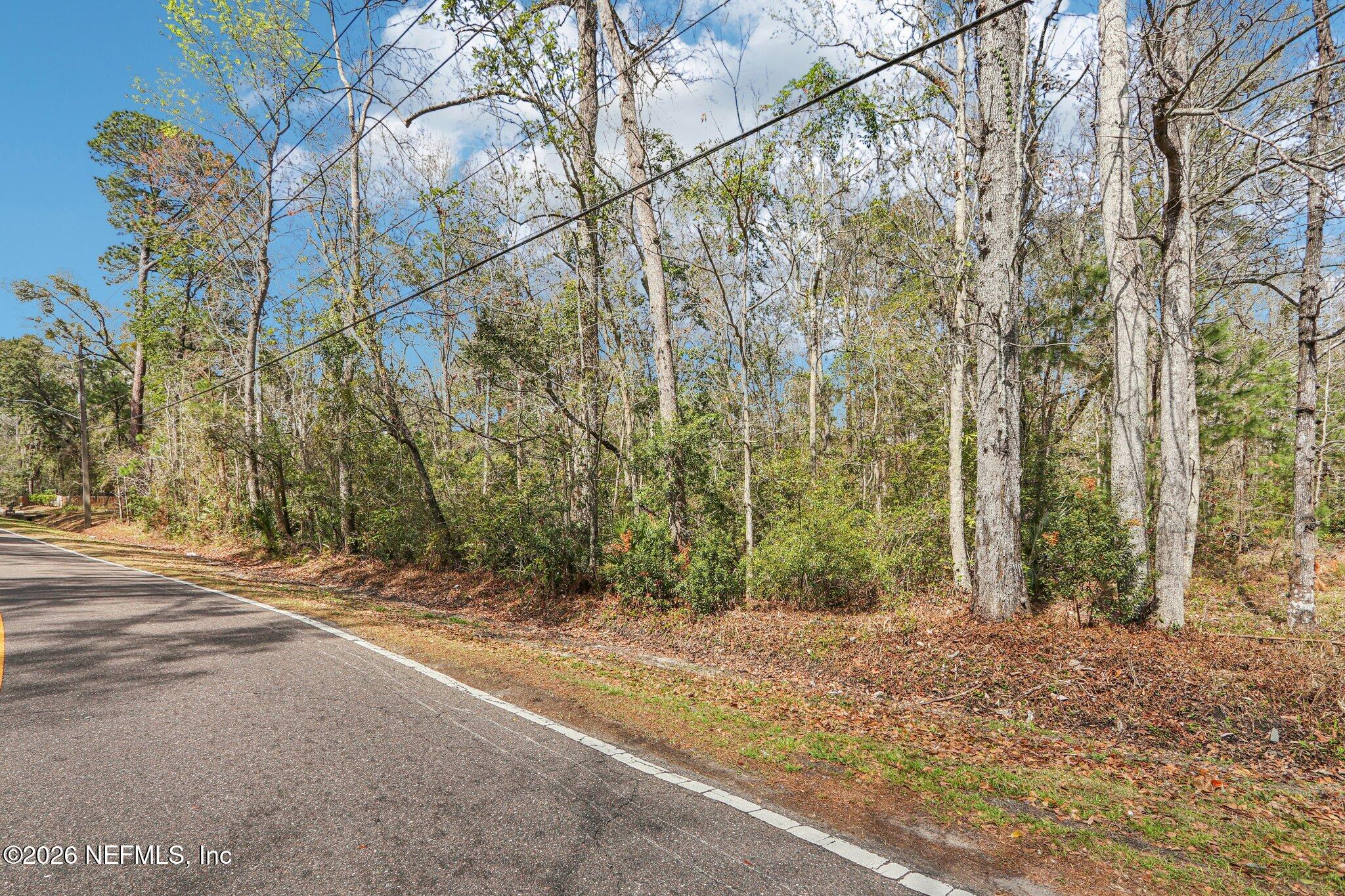 0 North Armsdale Road Jacksonville, FL 32218 - Photo 5 of 9 a backyard of a house with lots of green space