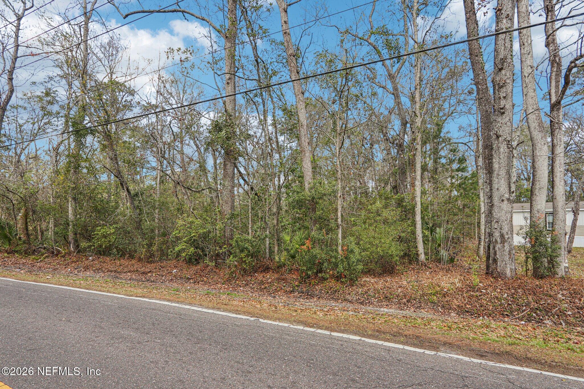0 North Armsdale Road Jacksonville, FL 32218 - Photo 6 of 9 a backyard of a house with lots of green space and trees
