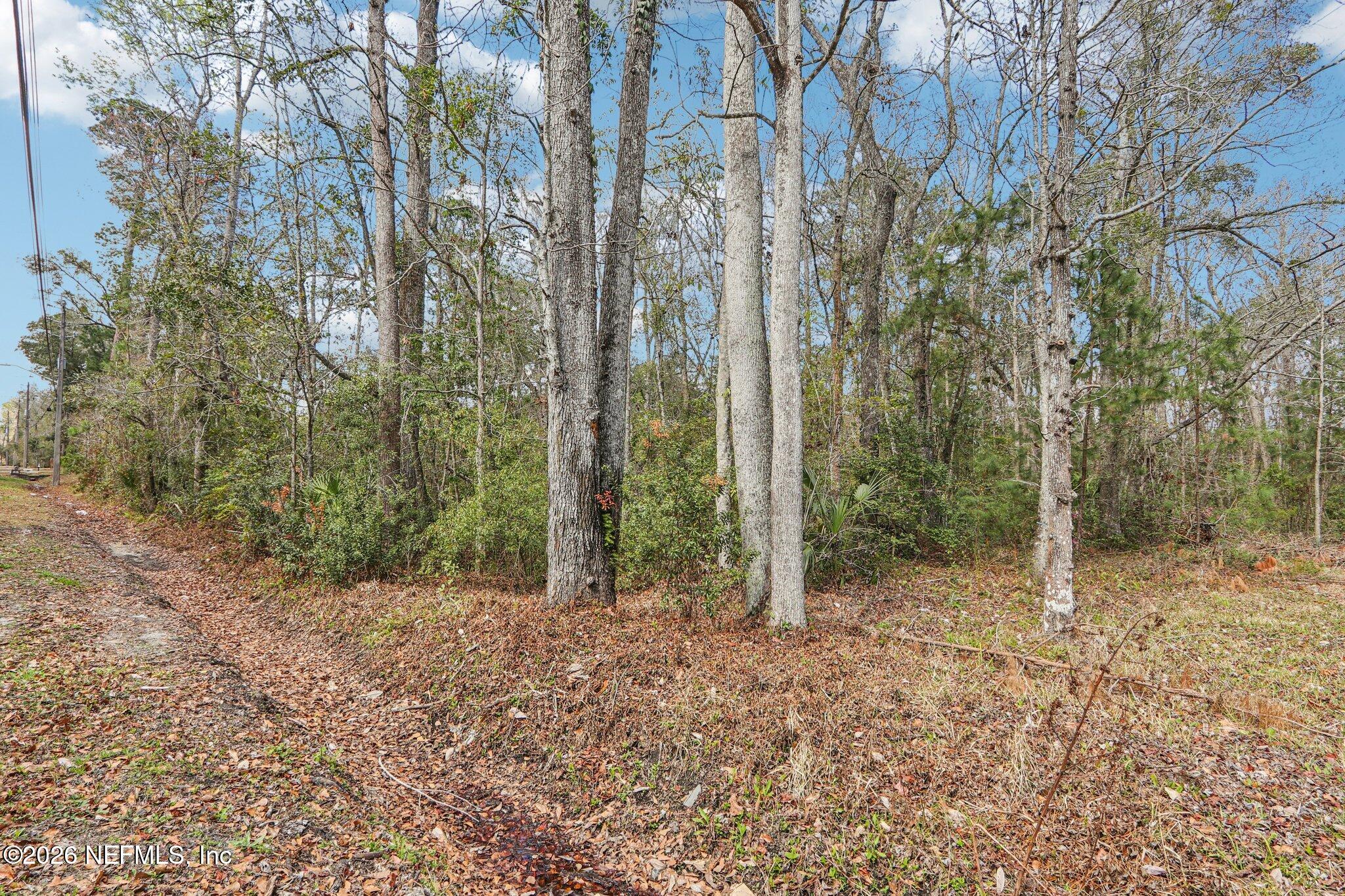 0 North Armsdale Road Jacksonville, FL 32218 - Photo 7 of 9 a view of forest