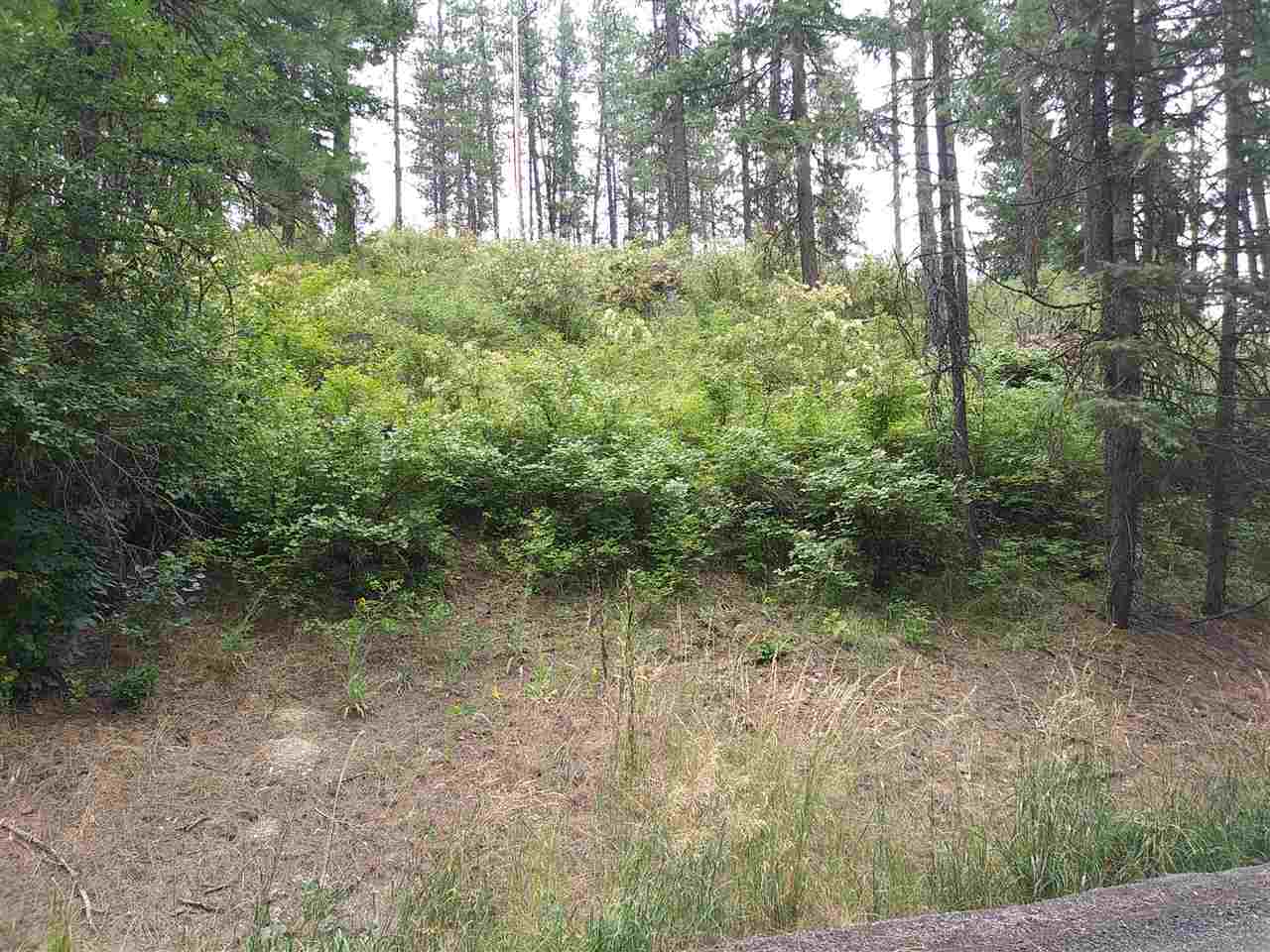 19-xxx North Holcomb Road Mead, WA 99021 - Photo 1 of 10