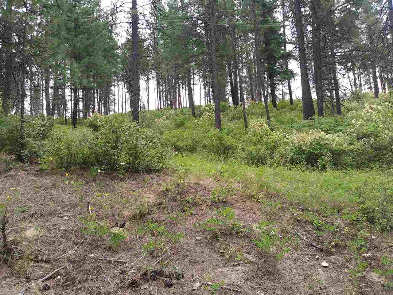 19-xxx North Holcomb Road Mead, WA 99021 - Photo 3 of 10