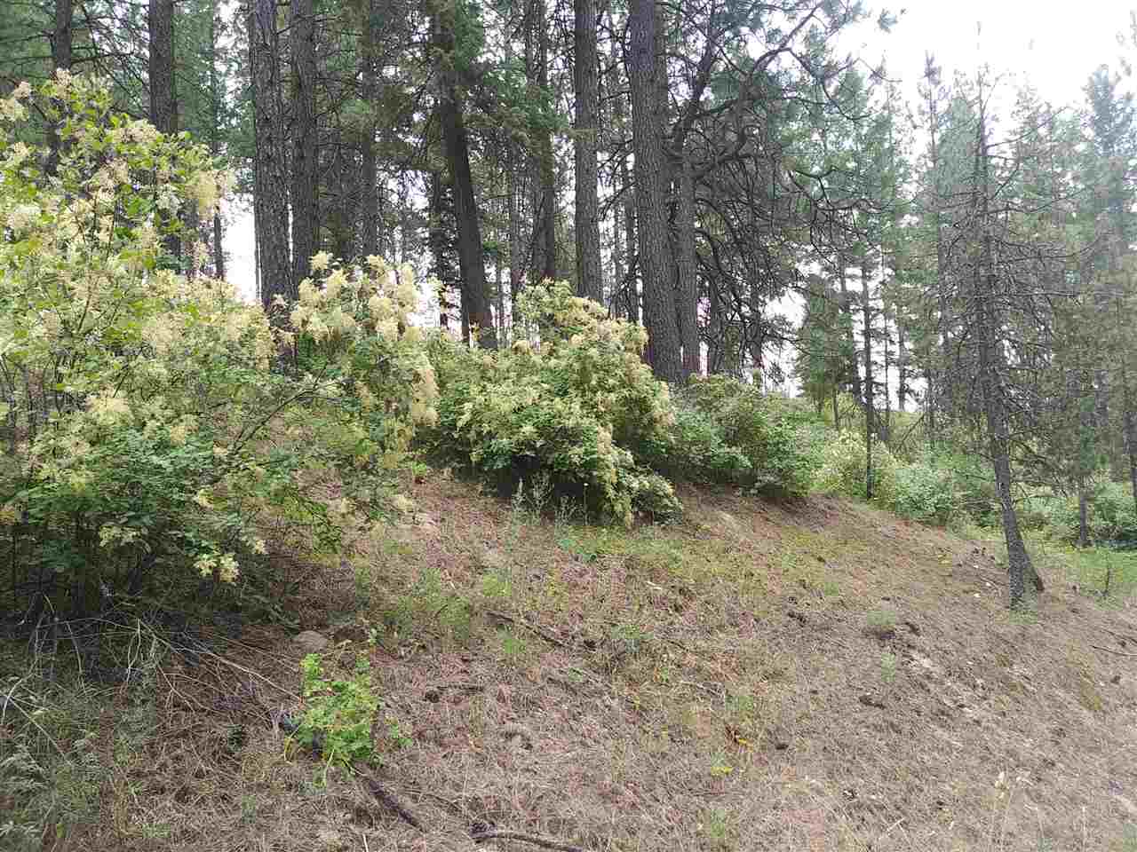 19-xxx North Holcomb Road Mead, WA 99021 - Photo 4 of 10