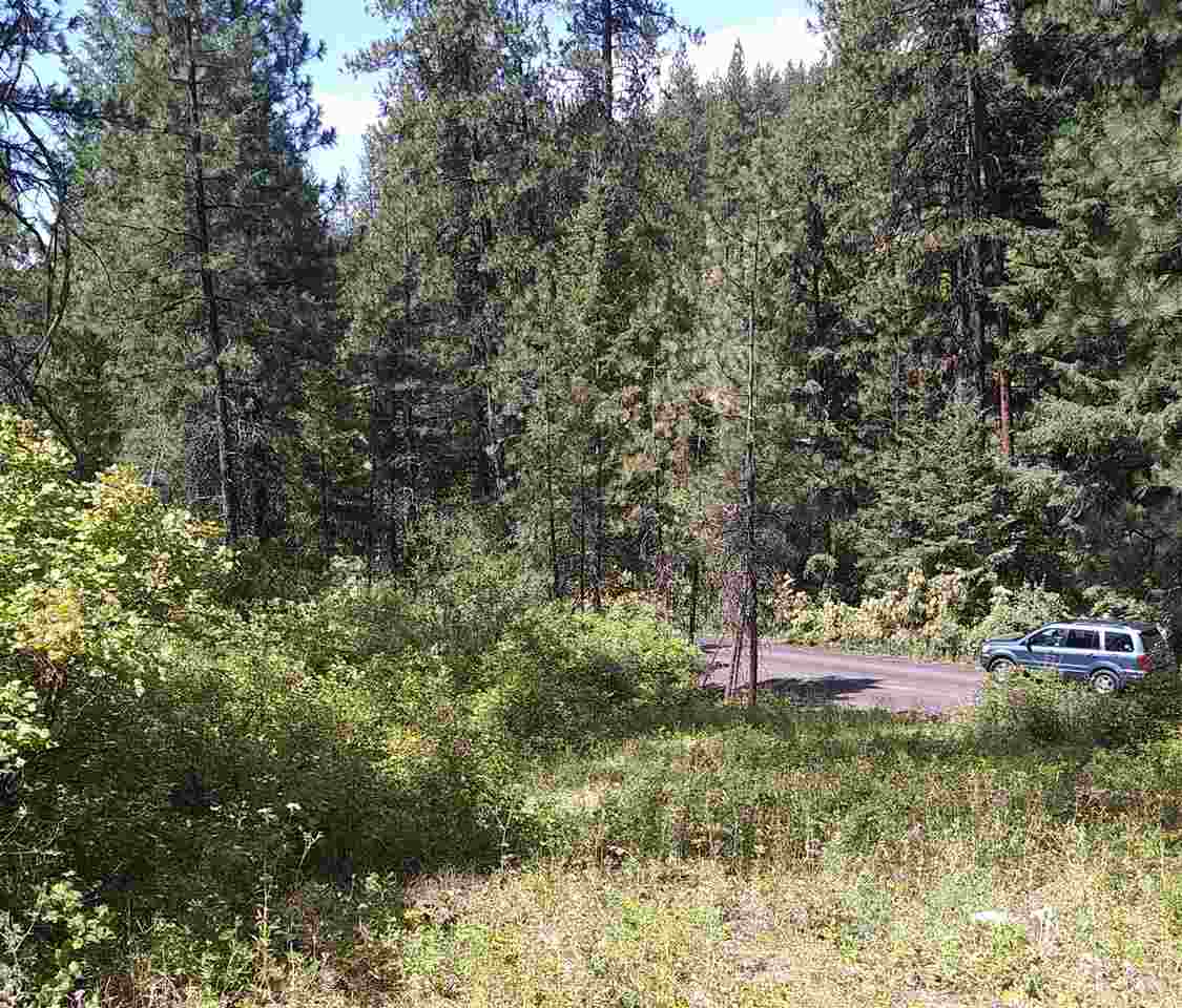 19-xxx North Holcomb Road Mead, WA 99021 - Photo 5 of 10