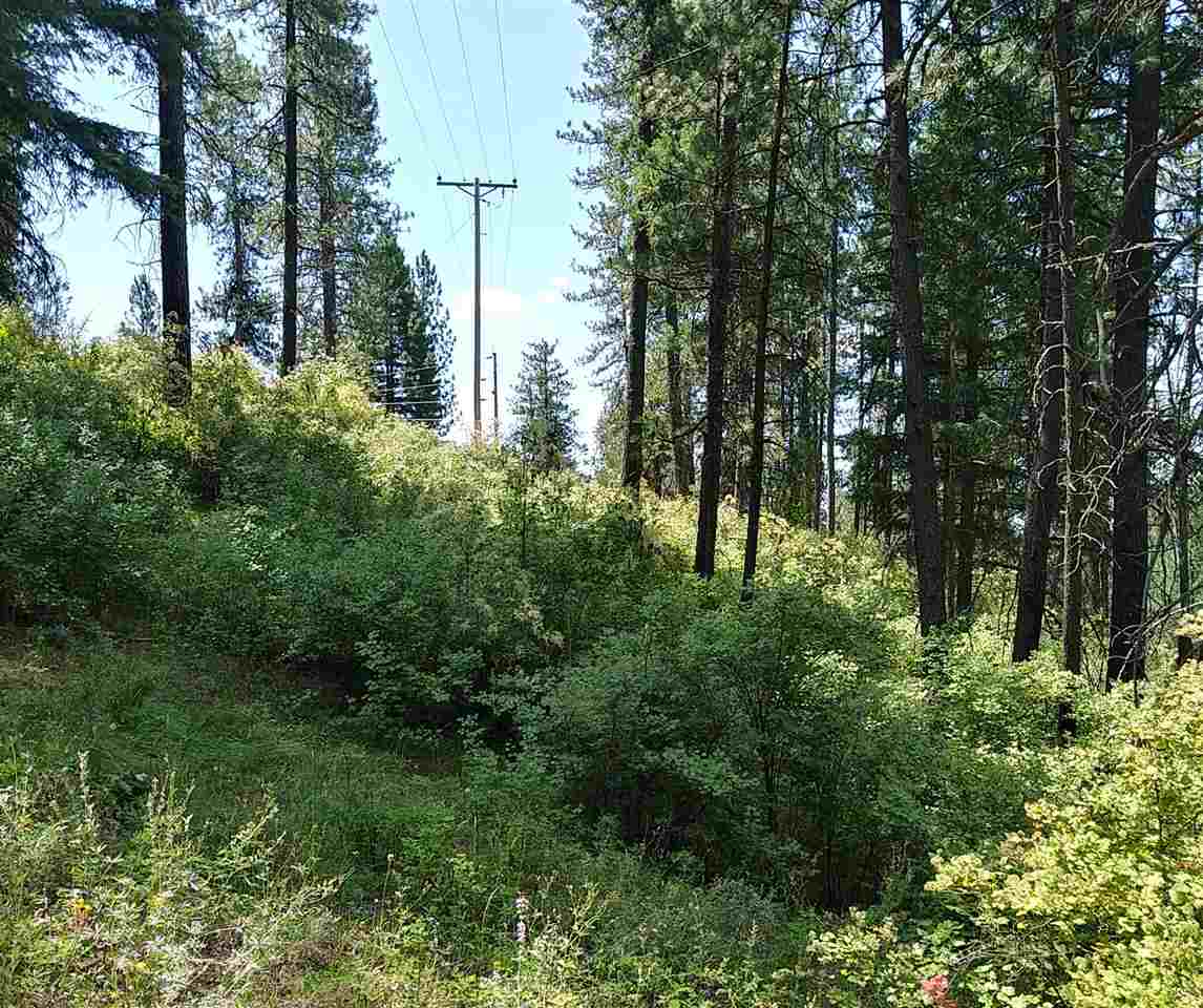 19-xxx North Holcomb Road Mead, WA 99021 - Photo 6 of 10