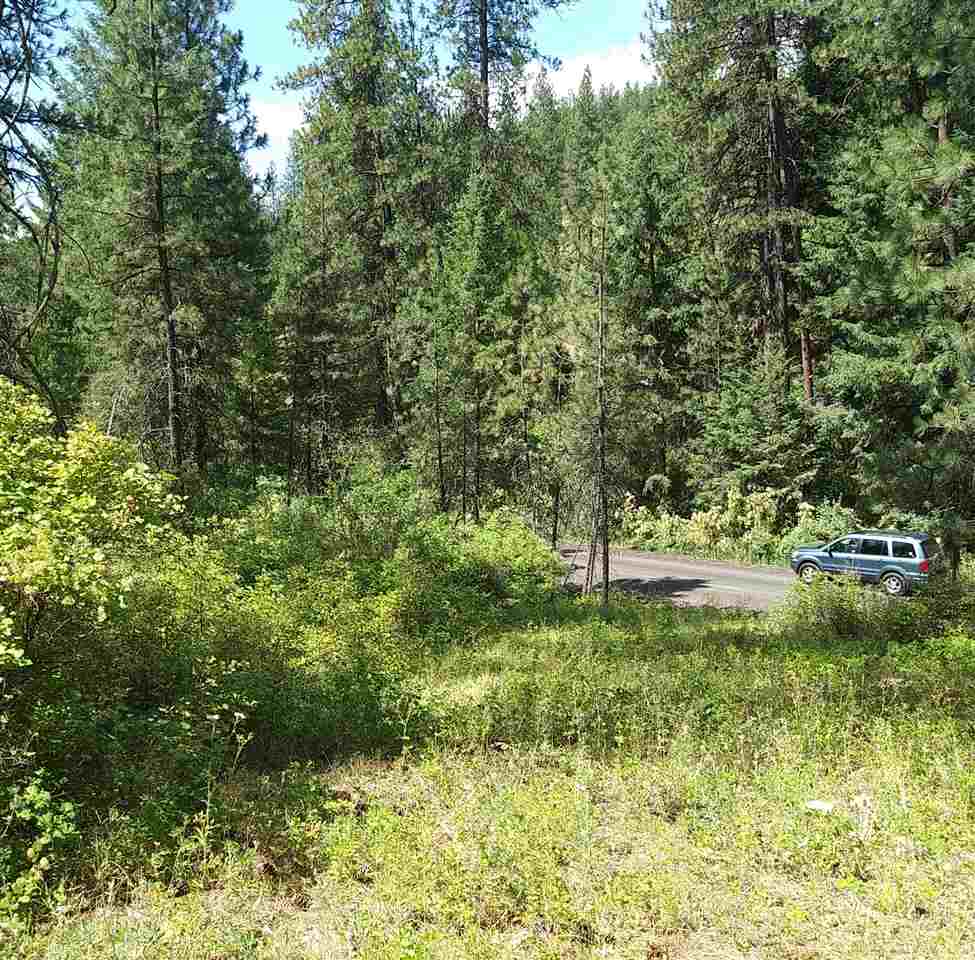 19-xxx North Holcomb Road Mead, WA 99021 - Photo 7 of 10