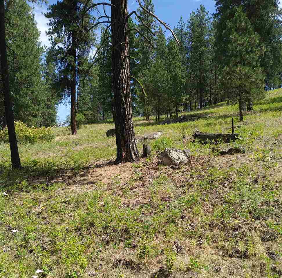 19-xxx North Holcomb Road Mead, WA 99021 - Photo 8 of 10