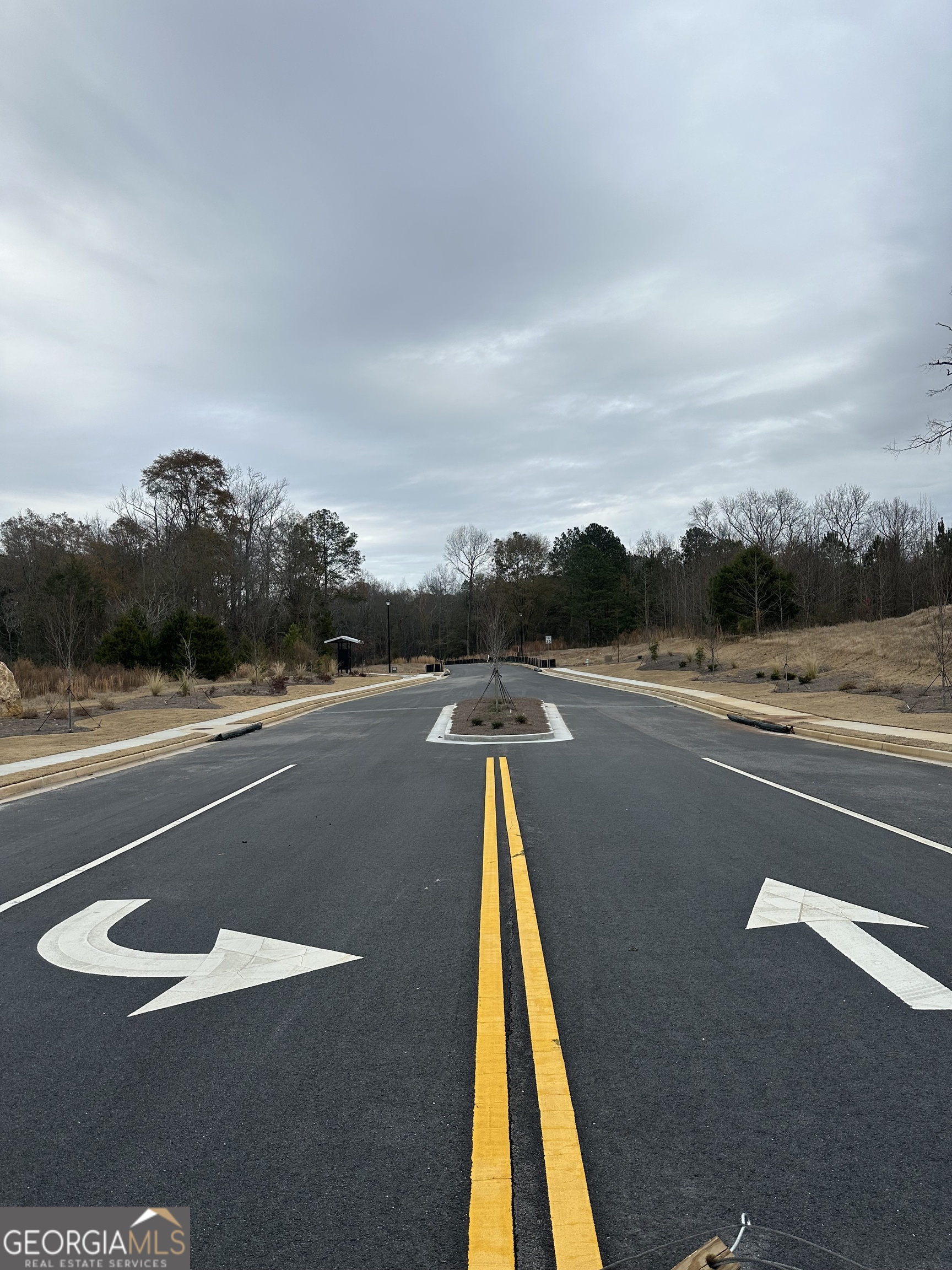 100 Edmondson Way Fayetteville, GA 30214 - Photo 3 of 9 a view of swimming pool with a yard and seating area