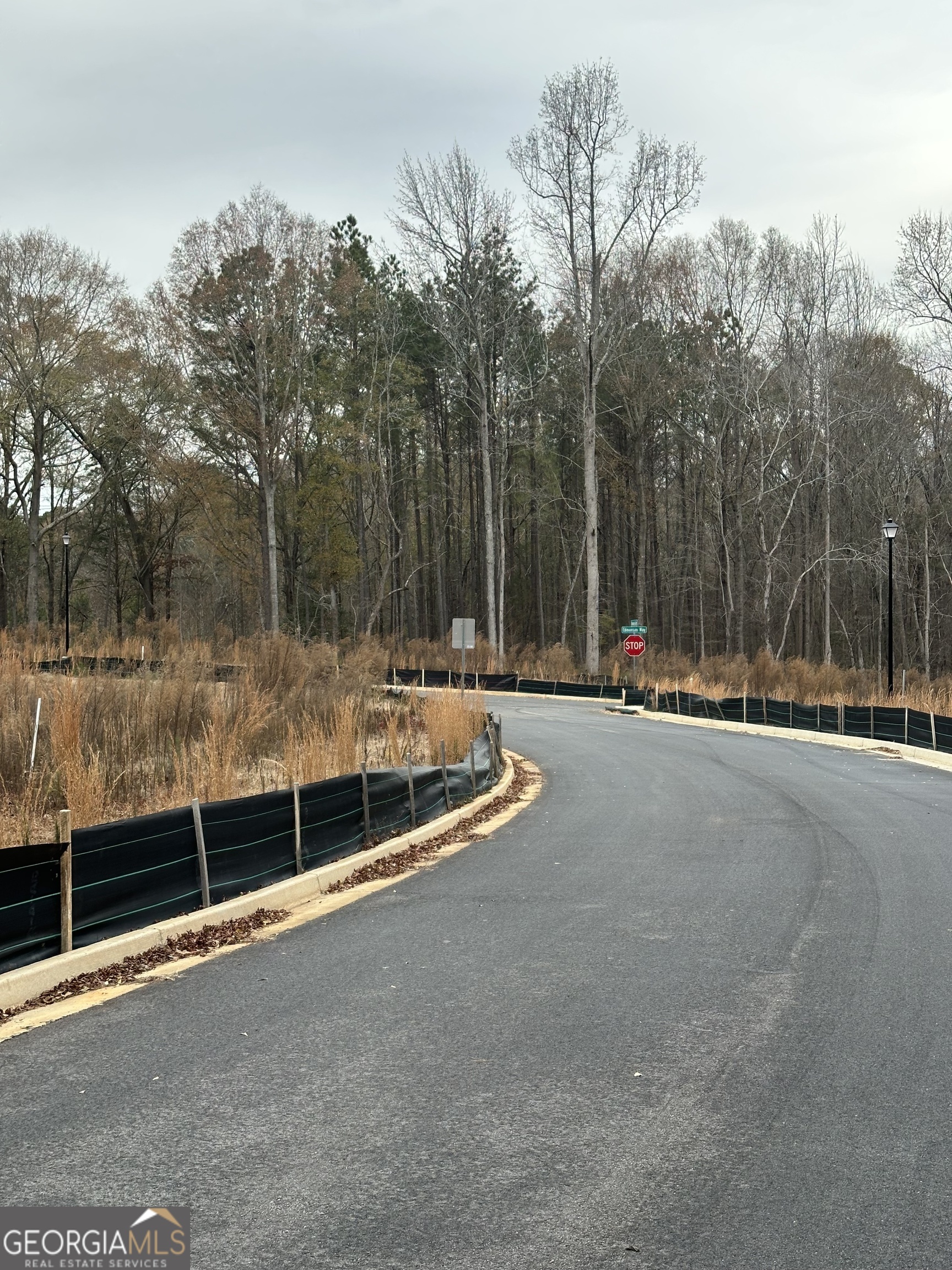 100 Edmondson Way Fayetteville, GA 30214 - Photo 5 of 9 a view of outdoor space with swimming pool and trees in the background