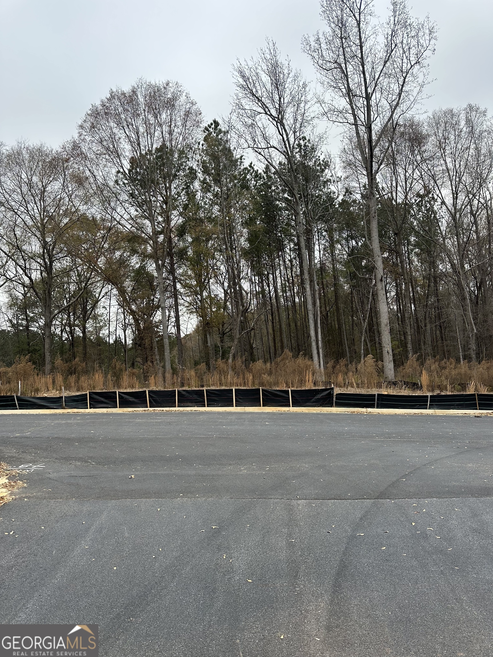 100 Edmondson Way Fayetteville, GA 30214 - Photo 6 of 9 an outdoor space with trees