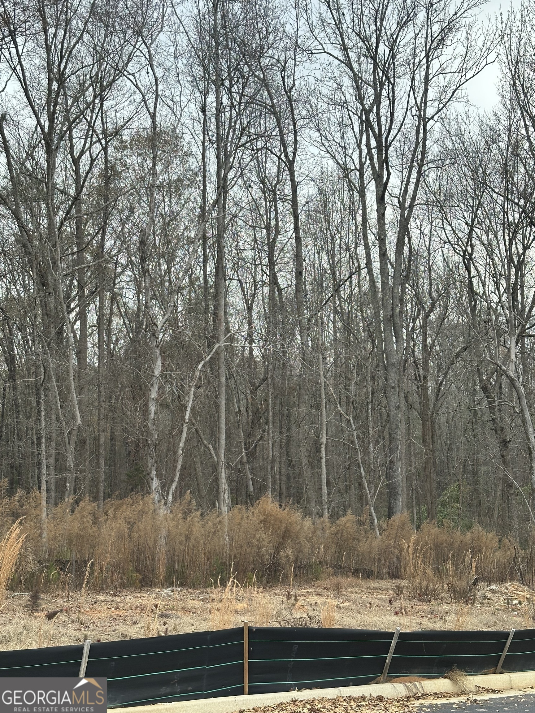 100 Edmondson Way Fayetteville, GA 30214 - Photo 7 of 9