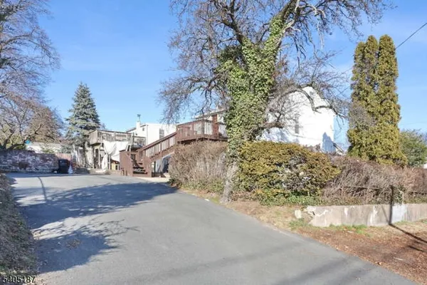 a view of a yard with plants and trees